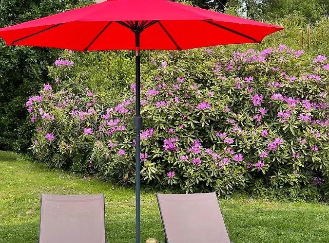 Les Arbres Rouges Sucé